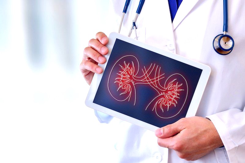 chronic kidney disease specialist in navi mumbai