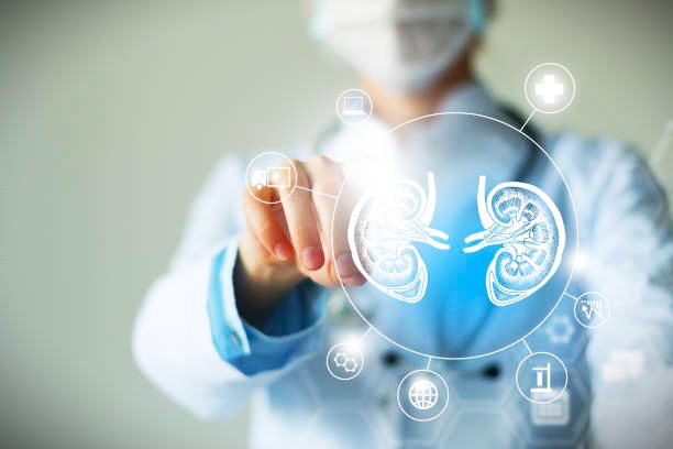 interventional nephrology specialist in navi mumbai